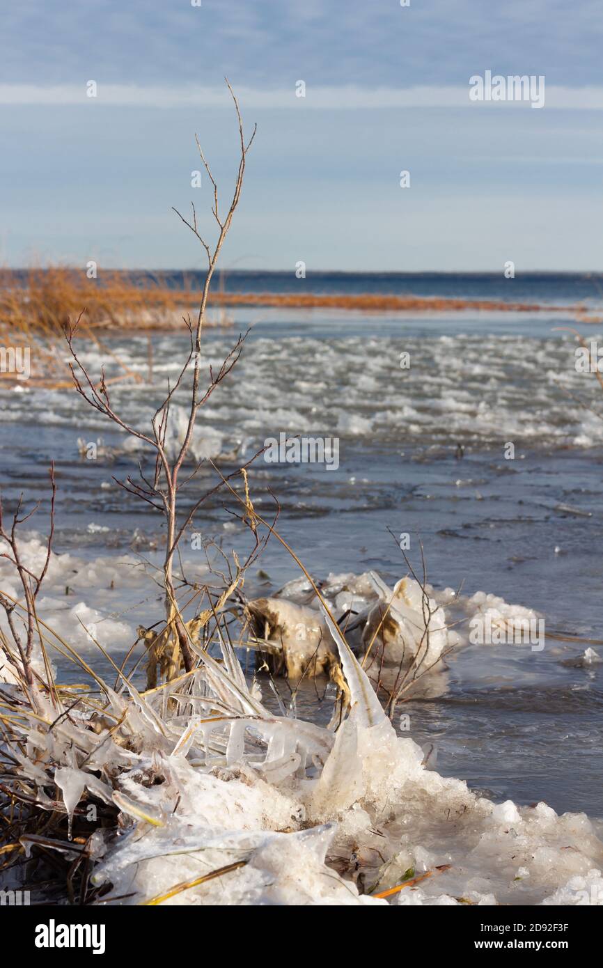 Lago canadese che si gelano in autunno, all'inizio dell'inverno, paesaggio lago prateria Foto Stock