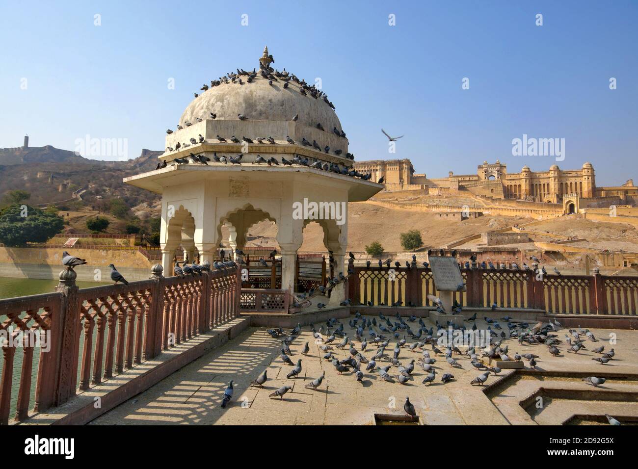 infante di jaipur forte ambrato rajasthan Foto Stock