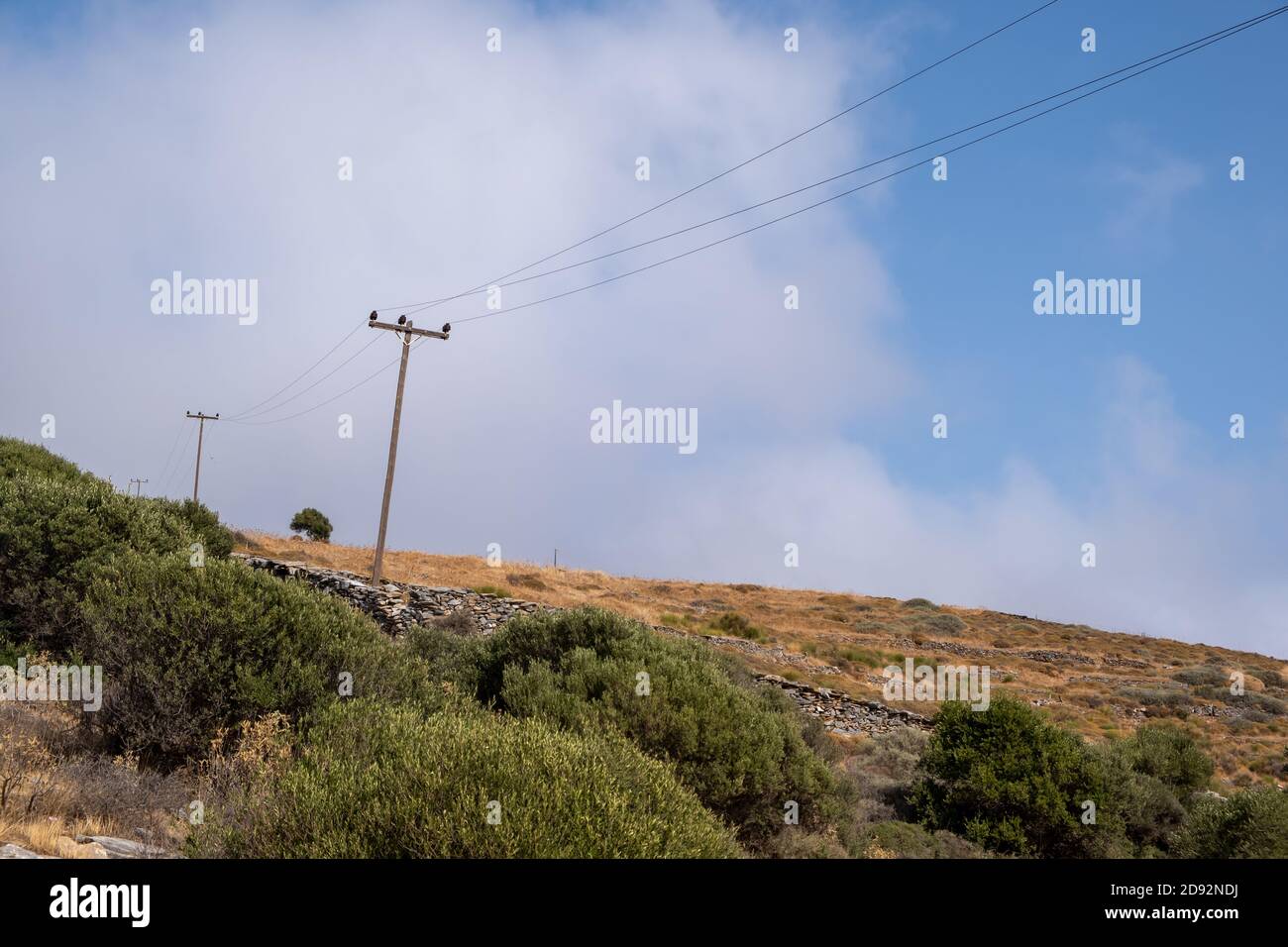 Elettricità pali di utilità di legno in campagna. Torri piloni che trasportano corrente elettrica ad alta tensione a Kea, isola di Tzia, Grecia. Natura selvaggia rocciosa Foto Stock