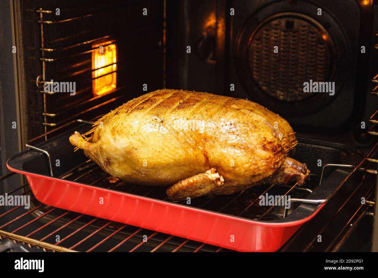 anatra arrosto al forno in una padella profonda con rack nel forno Foto Stock