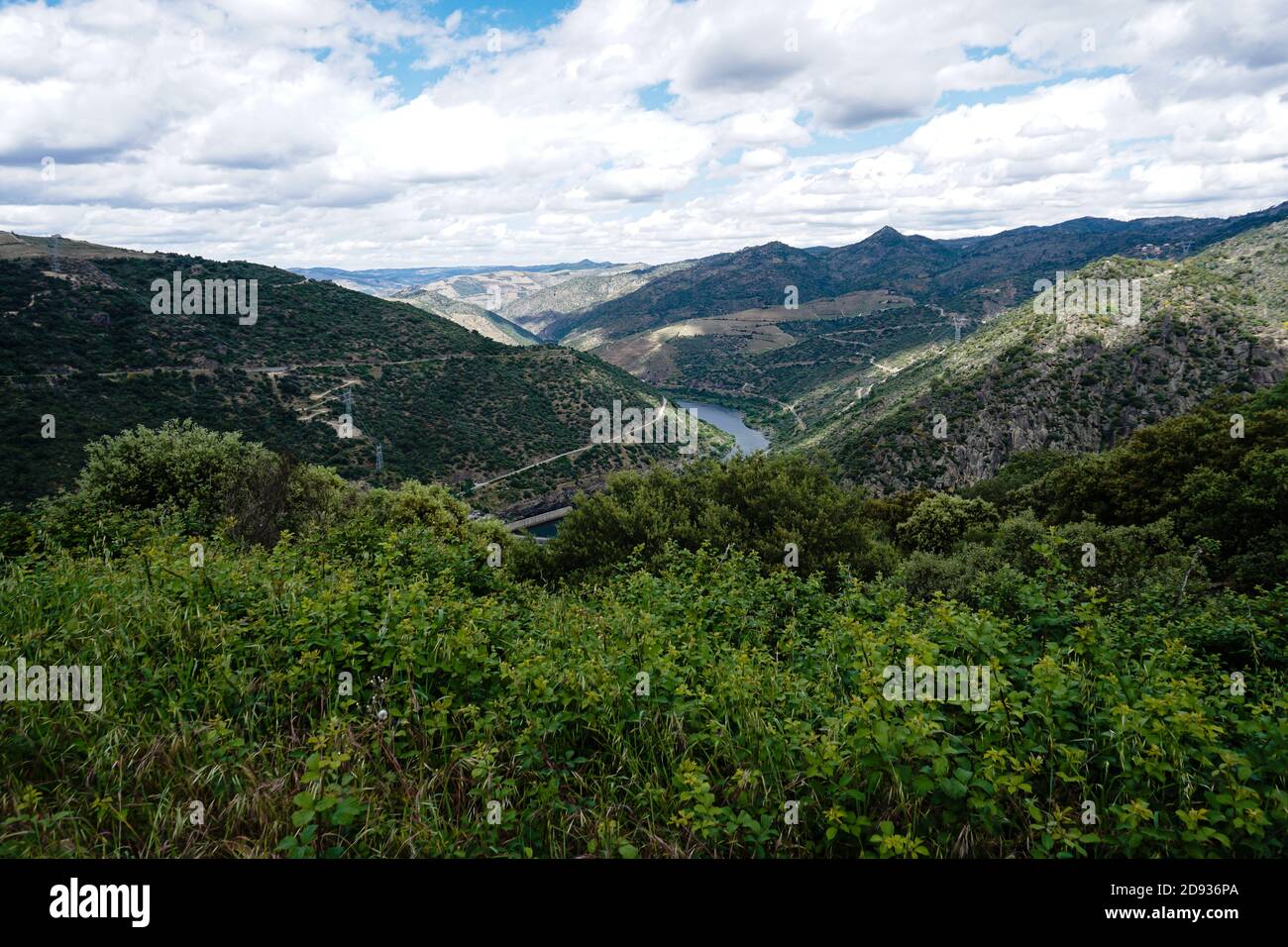Ampia vista del fiume Douro con verde fogliame in primo piano, Portogallo Foto Stock