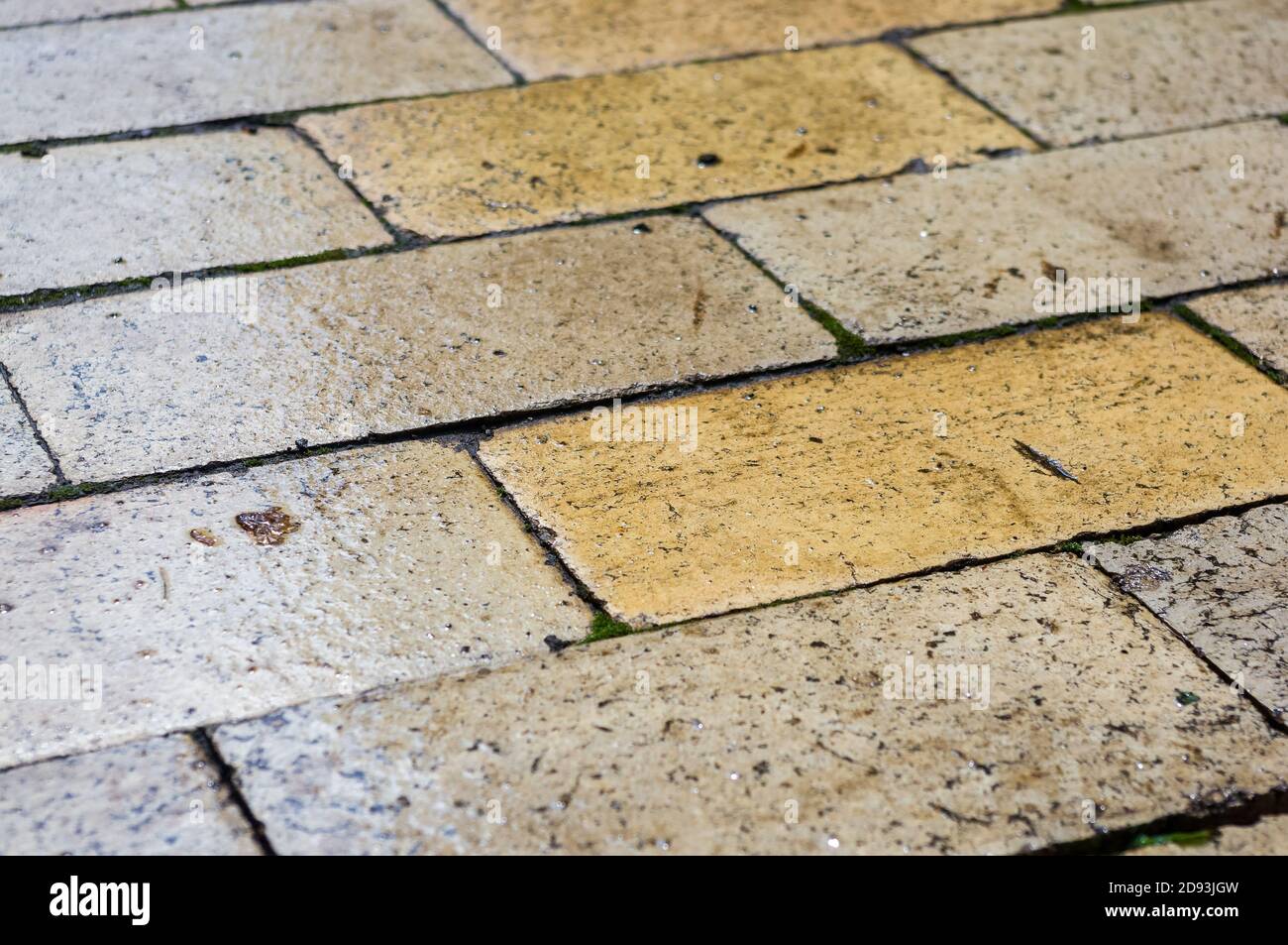 Le lastre per pavimentazione bagnate brillano dopo la pioggia, primo piano Foto Stock
