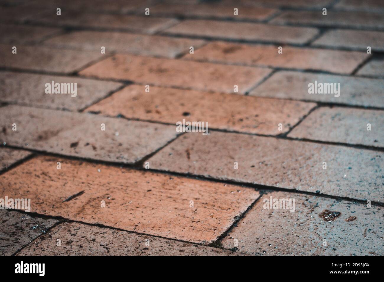 Le lastre per pavimentazione bagnate brillano dopo la pioggia, primo piano Foto Stock