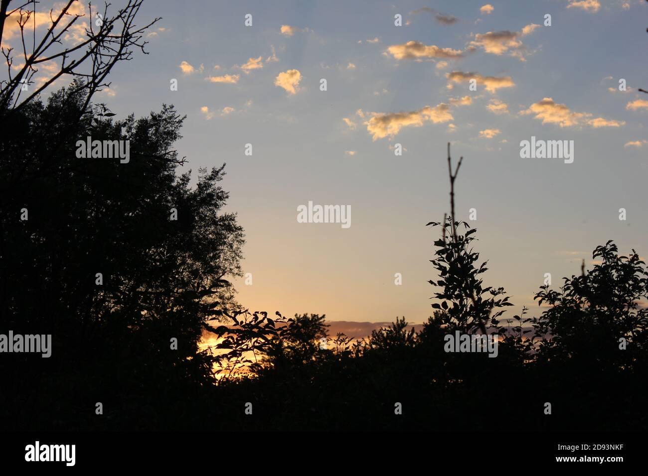 Una vista mozzafiato del sole che sorge appena oltre l'orizzonte in Ontario, Canada. Foto Stock