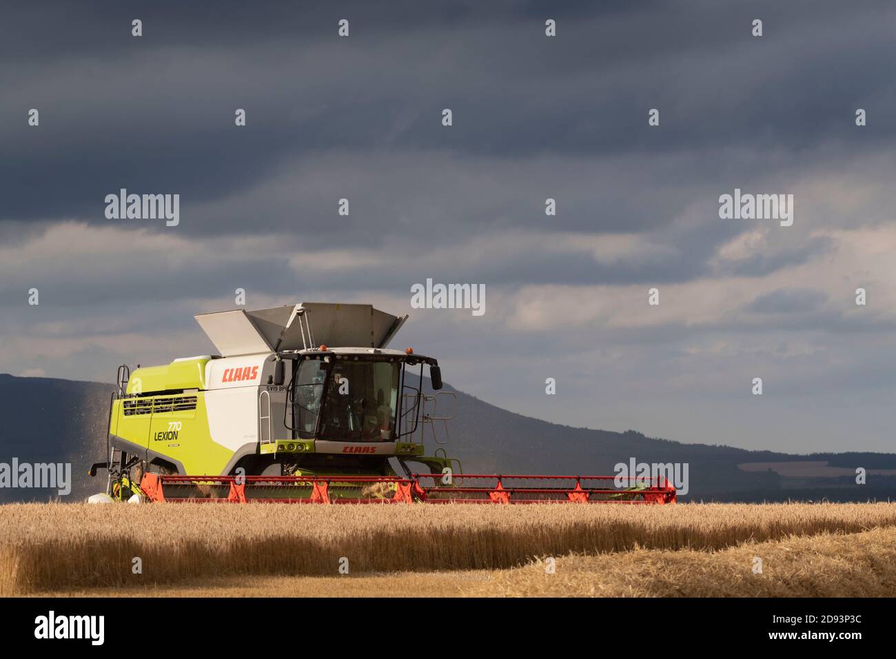 Una trebbiatrice mietitrebbia Claas Lexion 770 che lavora in un campo Di Barley nel tardo pomeriggio il sole splende nella campagna scozzese Foto Stock
