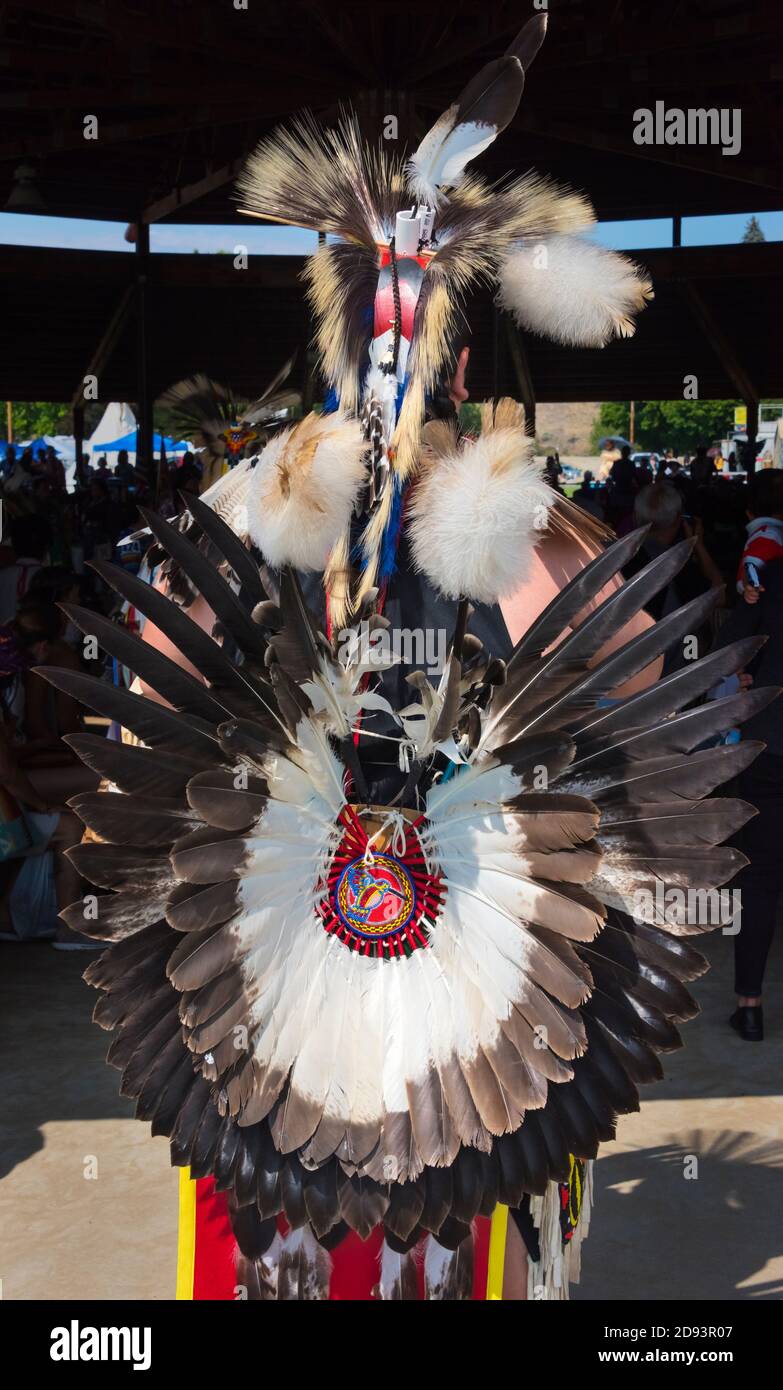 Uomo nativo americano in abiti tradizionali fatti di piuma, Omak, Washington state, USA Foto Stock