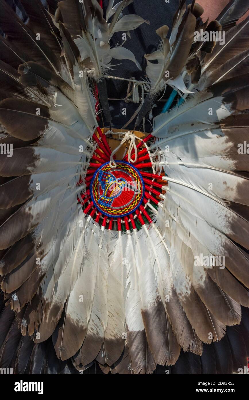Uomo nativo americano in abiti tradizionali fatti di piuma, Omak, Washington state, USA Foto Stock