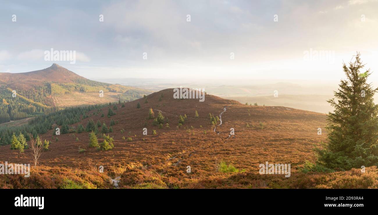Una vista panoramica dalla cima della collina di Millstone verso Mither Tap sulla catena montuosa di Bennachie in una mattinata soleggiata ad Aberdeenshire, Scozia Foto Stock