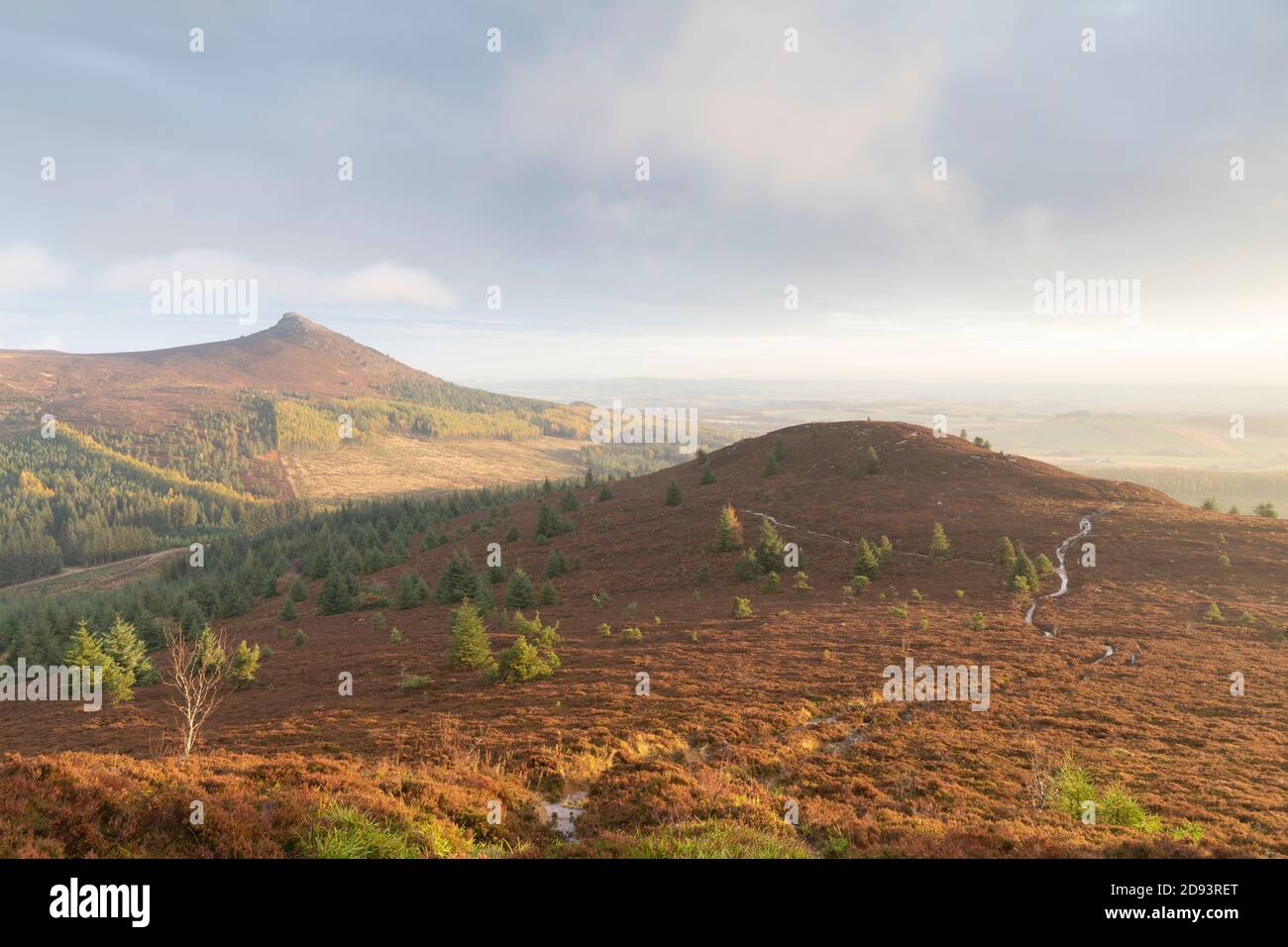 Una vista dalla collina di Millstone in Aberdeenshire che mostra il sentiero Dirigendosi verso Mither Tap nelle colline di Bennachie in anticipo Una Sunny Autumnal mattina Foto Stock