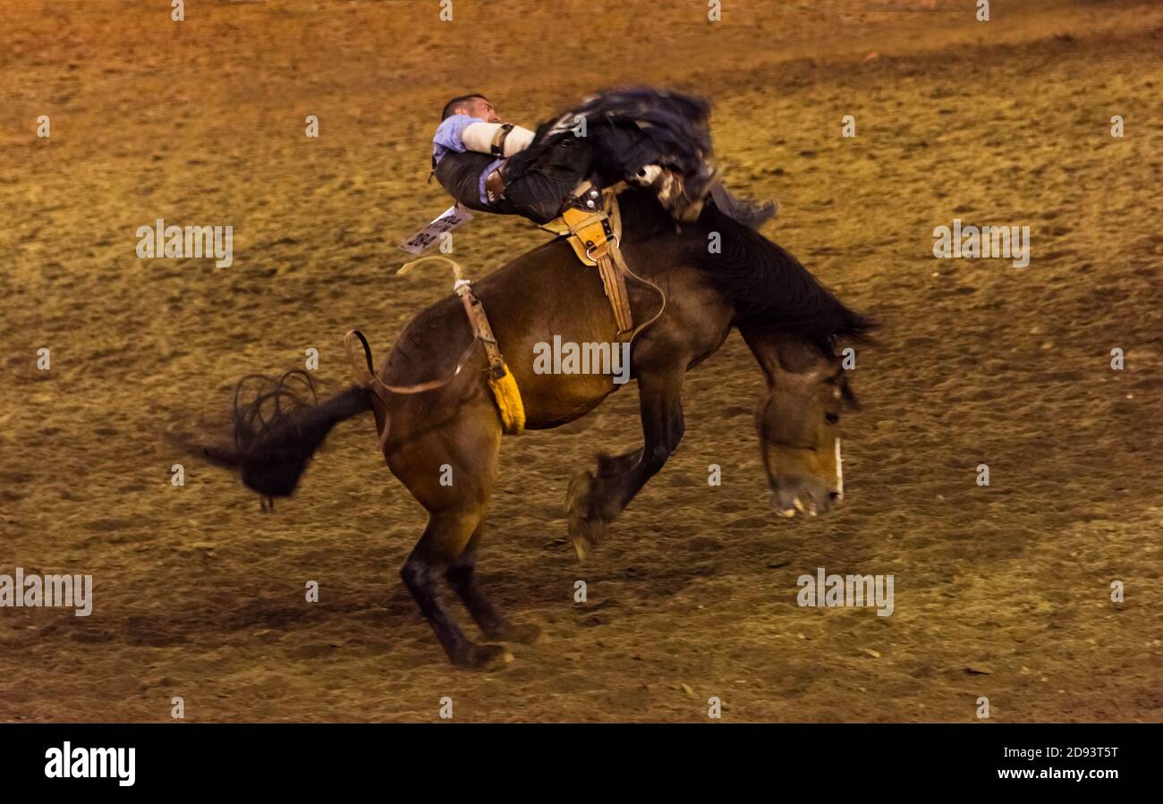 BAREBACK Riding a Omak Stampede, Washington state, USA Foto Stock