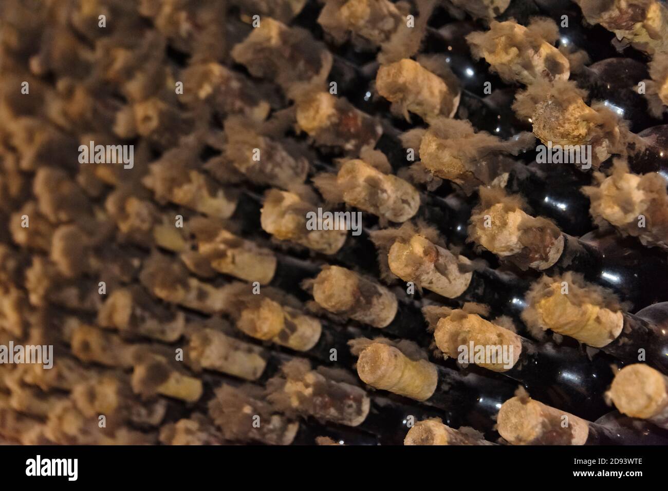 Bottiglie di vino nelle cantine sotterranee dell'azienda vinicola Cricova, Chisinau, Moldavia (la muffa all'esterno del tappo significa che la bottiglia è stata riponita correttamente Foto Stock