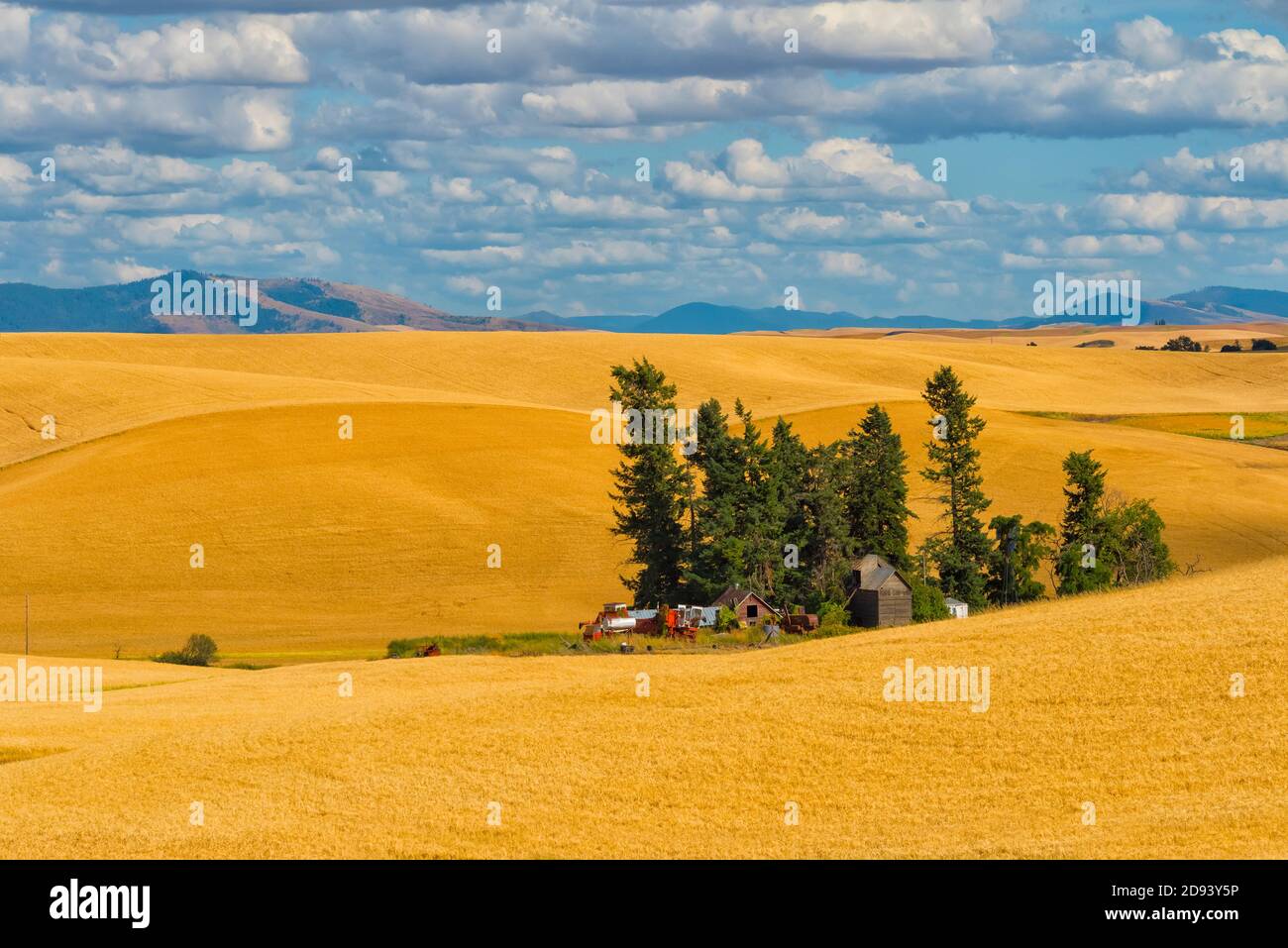 Nuvole sopra casa di fattoria su campo di grano, Palouse, Washington orientale, Stati Uniti Foto Stock