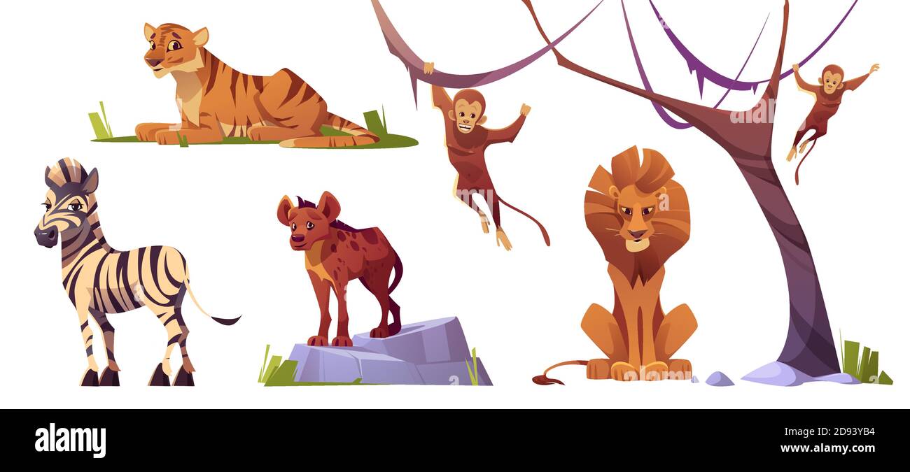 Cartoon animali selvatici tigre, scimmie, iena, zebra e leone con la scimmia. Abitanti della giungla predatori e erbivori in zoo parco o safari all'aperto zona. Bestie nella fauna, insieme di illustrazioni vettoriali isolate Illustrazione Vettoriale