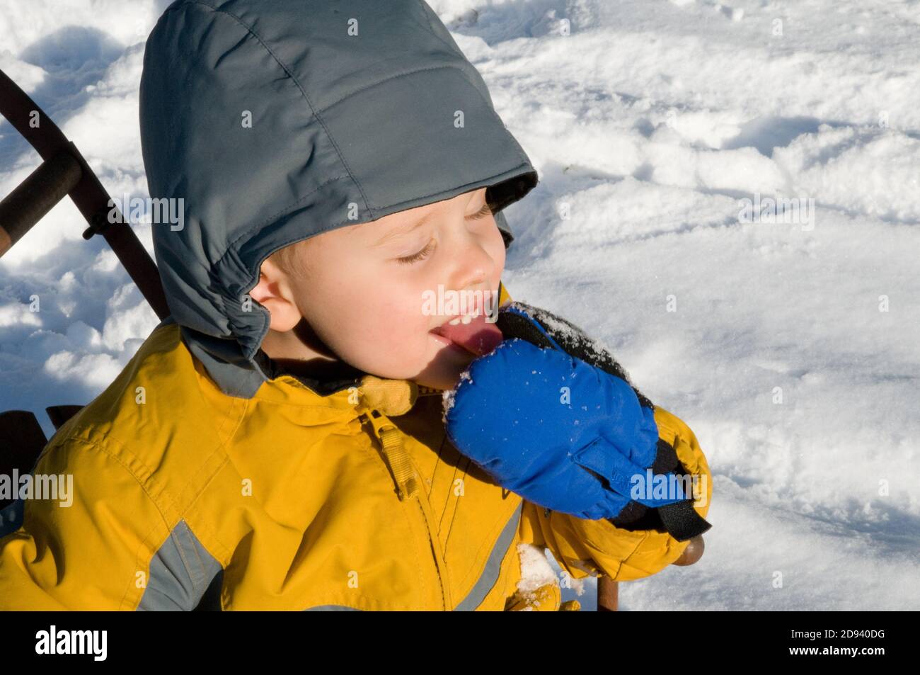 Un ragazzino in slitta gode di un assaggio di neve. Foto di Liz Roll Foto Stock