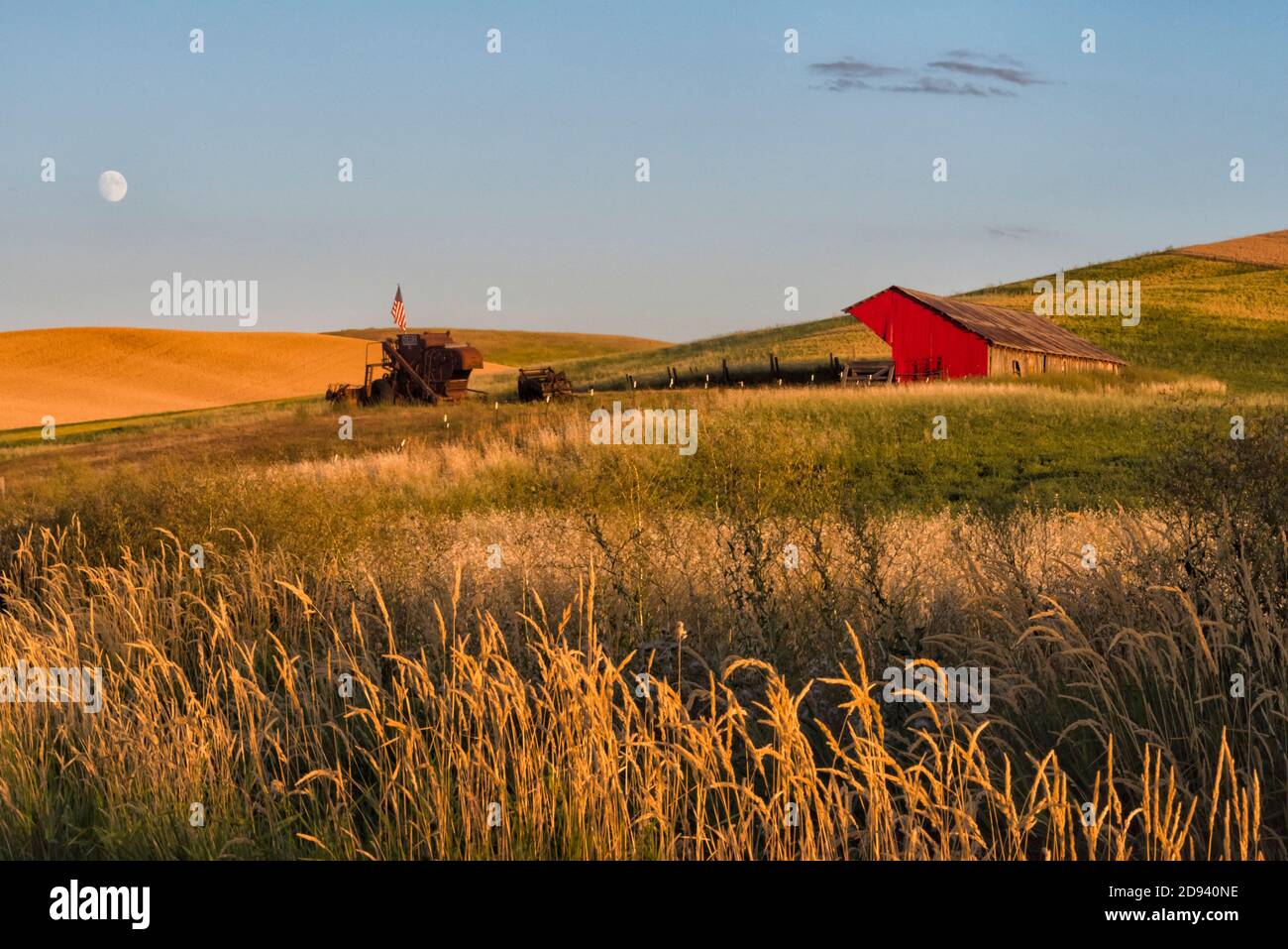 Granaio rosso sul campo di grano al tramonto, Palouse, Washington state, Stati Uniti Foto Stock