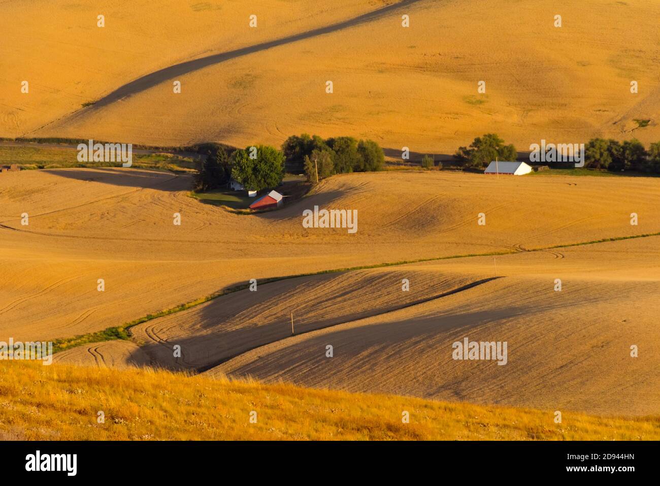 Paesaggio di Rolling Wheat Field, Palouse, Washington state, Stati Uniti, vista da Kamiak Butte Foto Stock