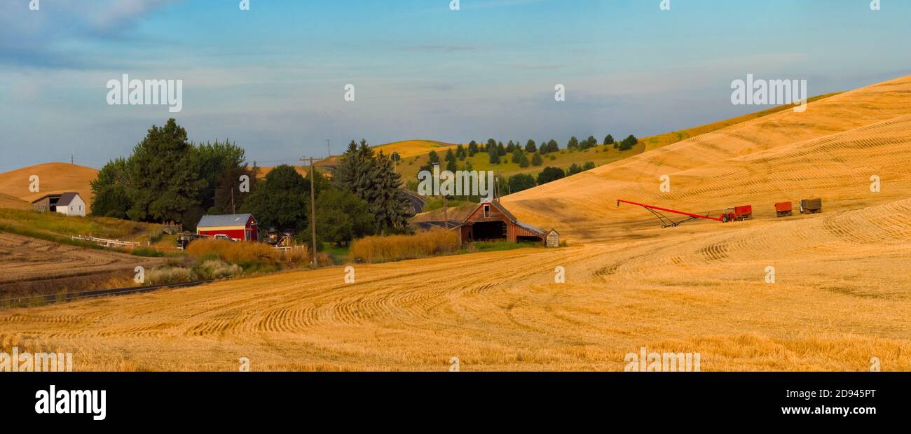 Fienile su campo di grano rotabile all'alba, Palouse, Washington state, Stati Uniti Foto Stock