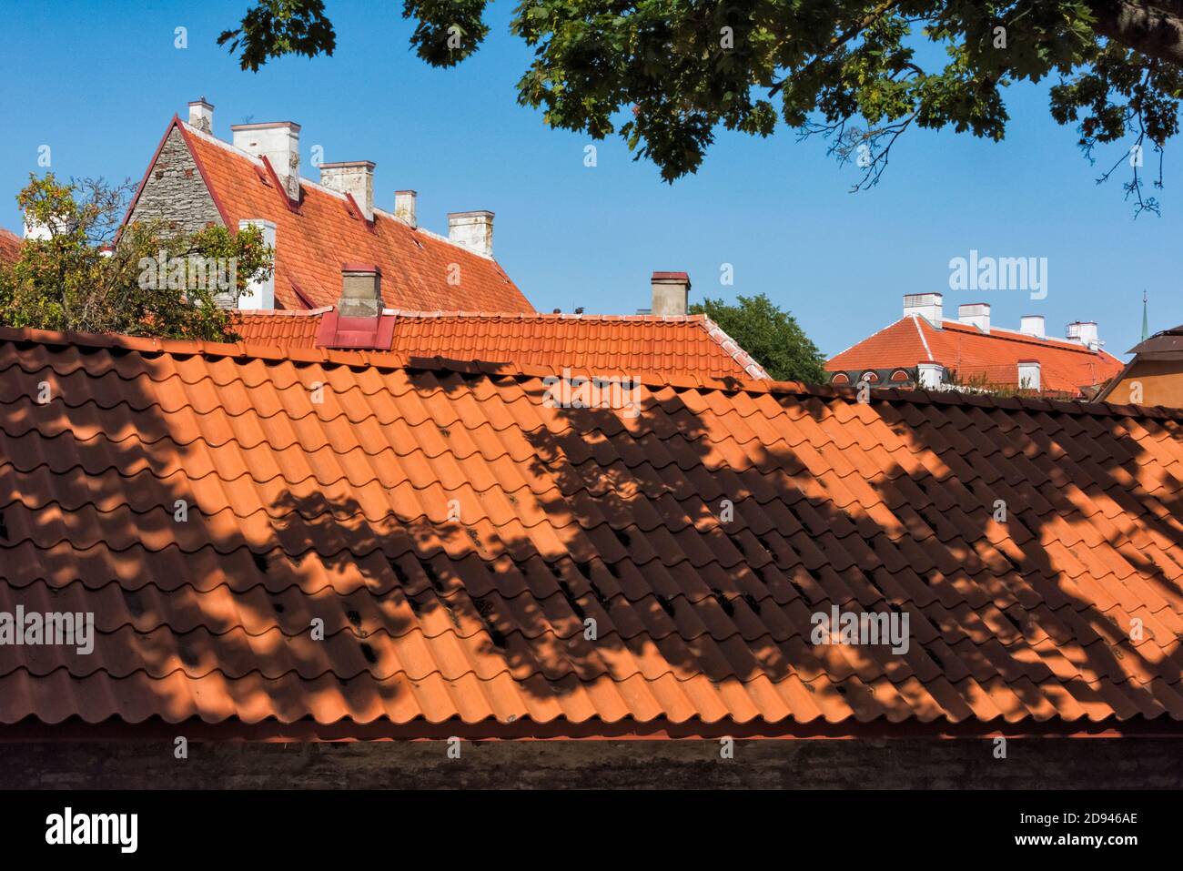 Tetti rossi di edifici storici nella città vecchia, Tallinn, Estonia Foto Stock