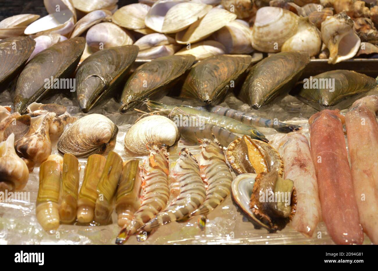 generi freschi di cibo di mare sulla stalla per la vendita in condizioni di luce intensa Foto Stock