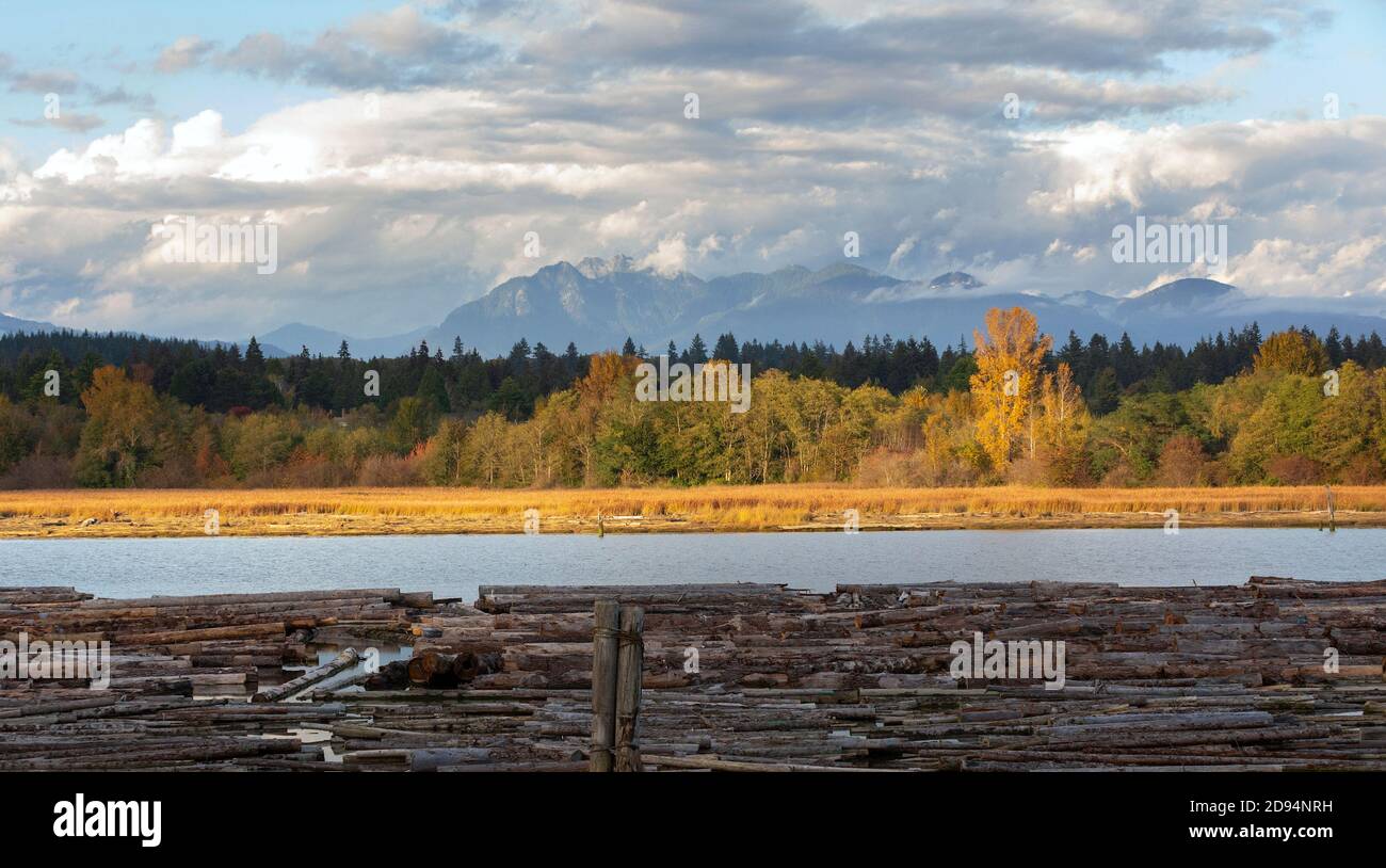 Fraser River colori autunnali a Vancouver British Columbia Canada Foto Stock