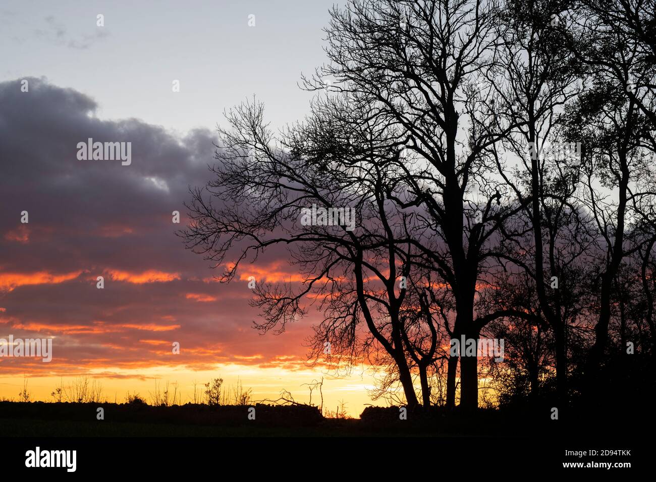 Banda di nuvole di pioggia al tramonto sulla campagna del cotswold con alberi a profilo. Cotswolds, Gloucestershire, Inghilterra Foto Stock