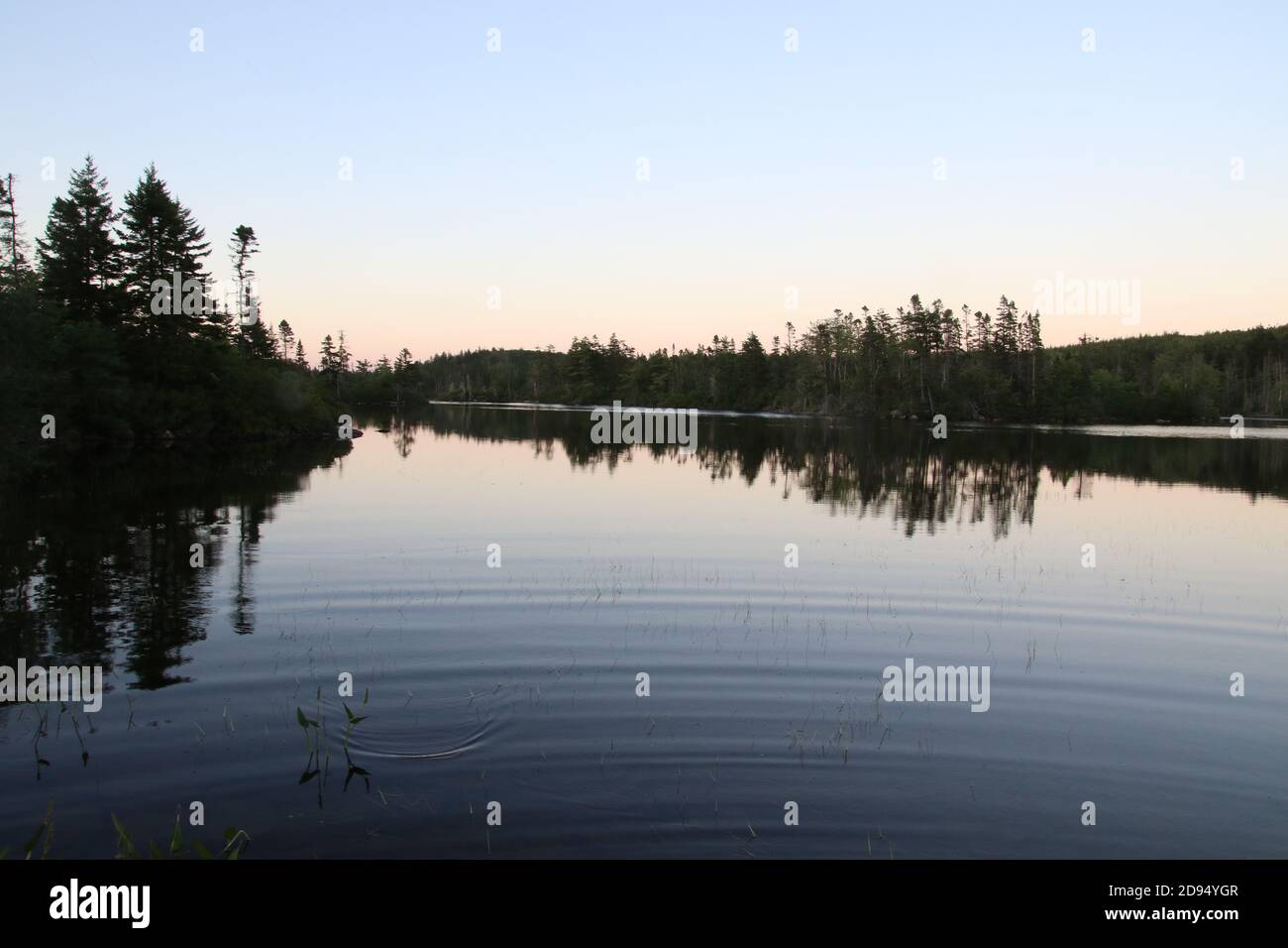 Una vista di un lago circondato da foresta come il il sole si alza con gli alberi riflessi nella acqua calma Foto Stock
