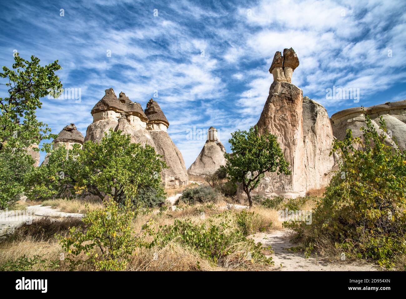 Formazioni rocciose dei Camini delle fate a Pasabag o nella Valle dei  Monaci, Cappadocia, Turchia Foto stock - Alamy