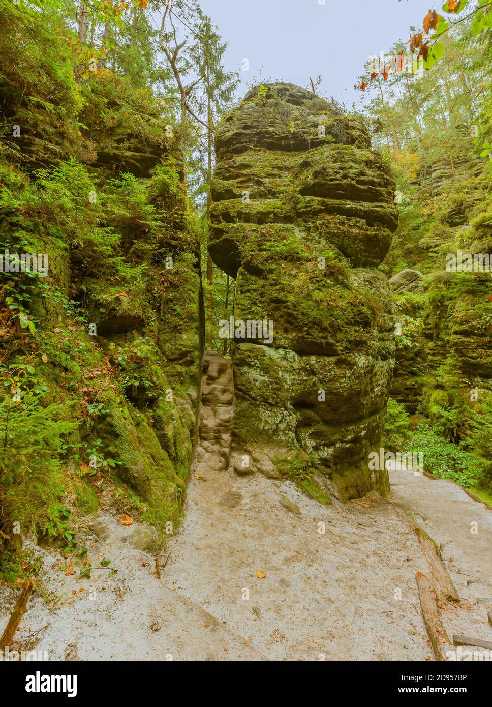 Formazione rocciosa nel Sassone Svizzera sentiero escursionistico Schwedenloecher Foto Stock