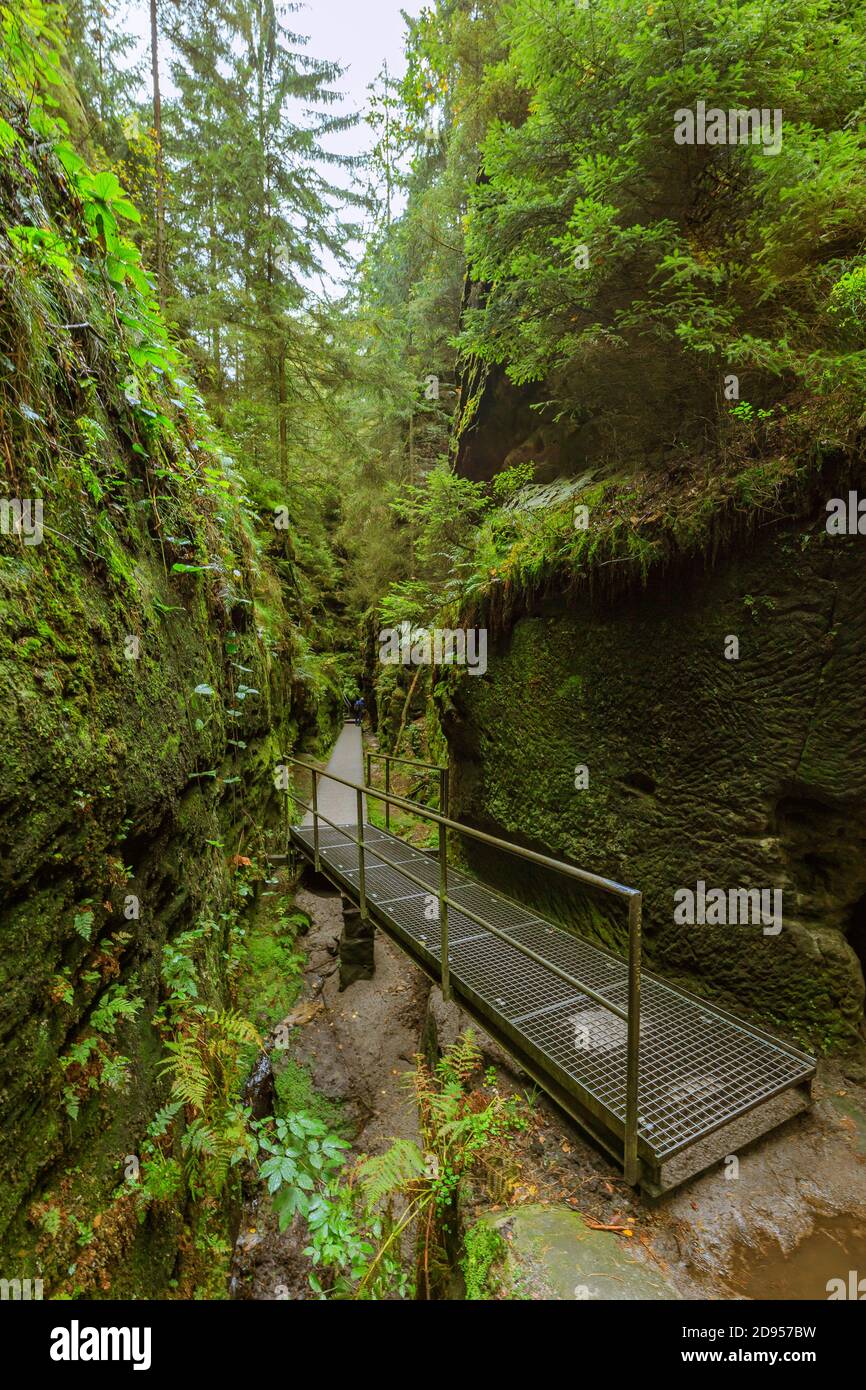 Passerella lungo il sentiero escursionistico attraverso lo Schwedenloecher vicino al Ponte di Bastei in Svizzera sassone Foto Stock