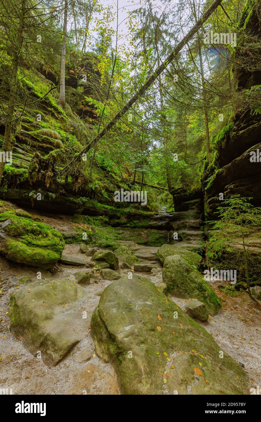 Sentiero escursionistico attraverso il Schwedenloecher vicino al ponte di Bastei in Svizzera sassone Foto Stock