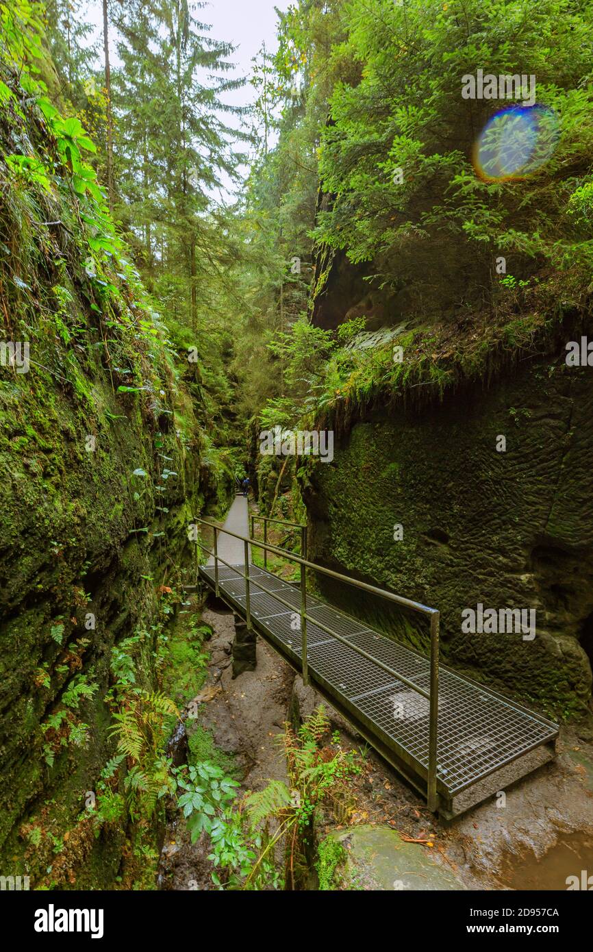 Passerella lungo il sentiero escursionistico attraverso lo Schwedenloecher vicino al Ponte di Bastei in Svizzera sassone Foto Stock