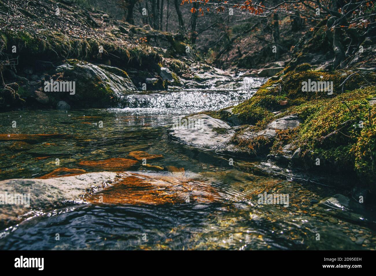 Un fiume che scorre tra rocce mussose nella natura selvaggia Foto Stock