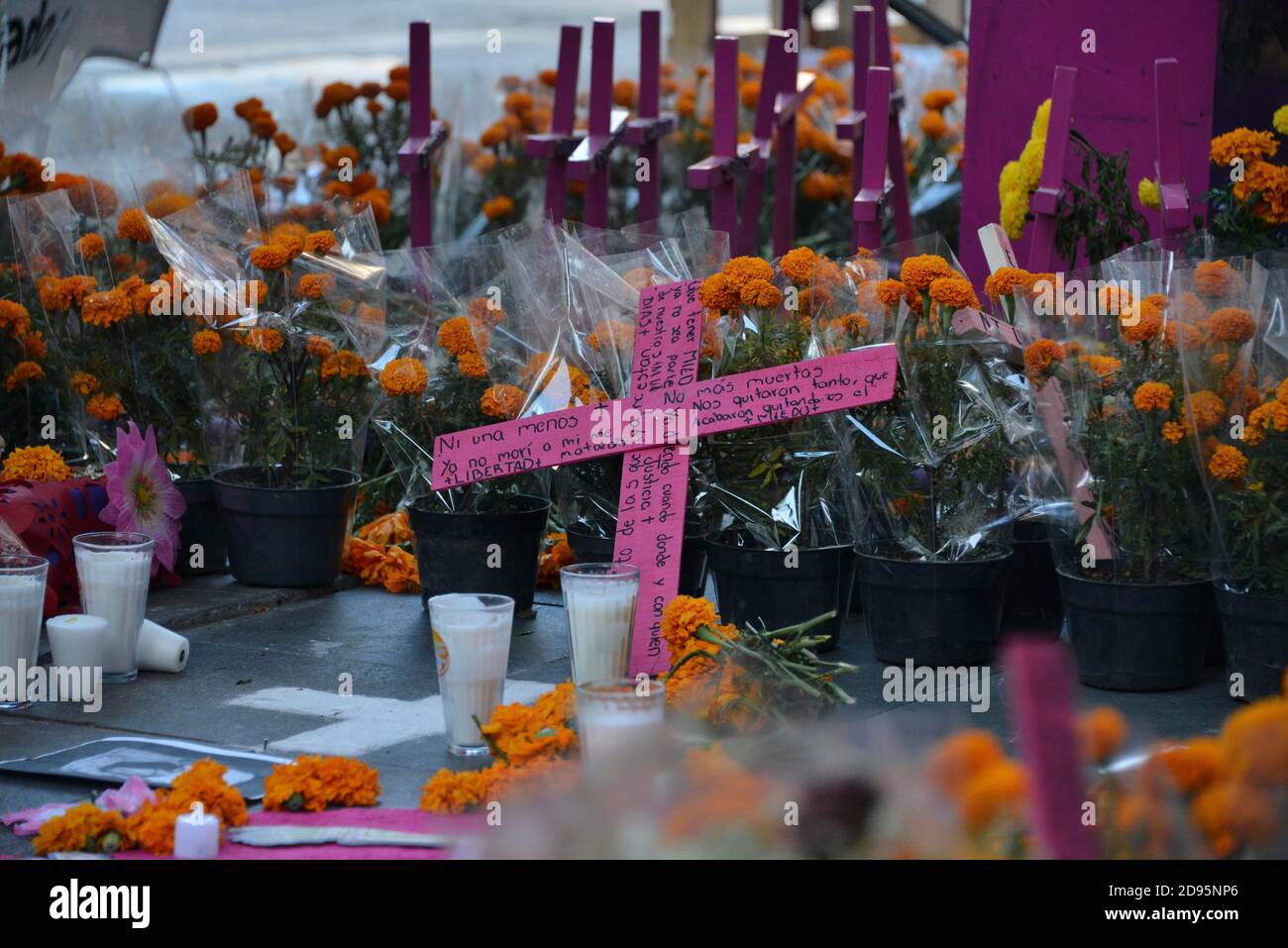Città del Messico, Messico. 02 novembre 2020. CITTÀ DEL MESSICO, MESSICO - 2 NOVEMBRE: La violenza di genere onorata con il giorno dell'altare Morto durante una marcia per commemorare le vittime del femminicidio, in protesta contro la violenza-genere durante la Giornata dei morti del Messico. Il Messico è uno dei paesi del mondo con il più alto tasso di violenza di genere, nel 2020 ci sono state nuove 489 femminide il 2 novembre 2020 a Città del Messico, Messico. Credit: Carlos Tischler/Eyepix Group/The Photo Access Credit: The Photo Access/Alamy Live News Foto Stock