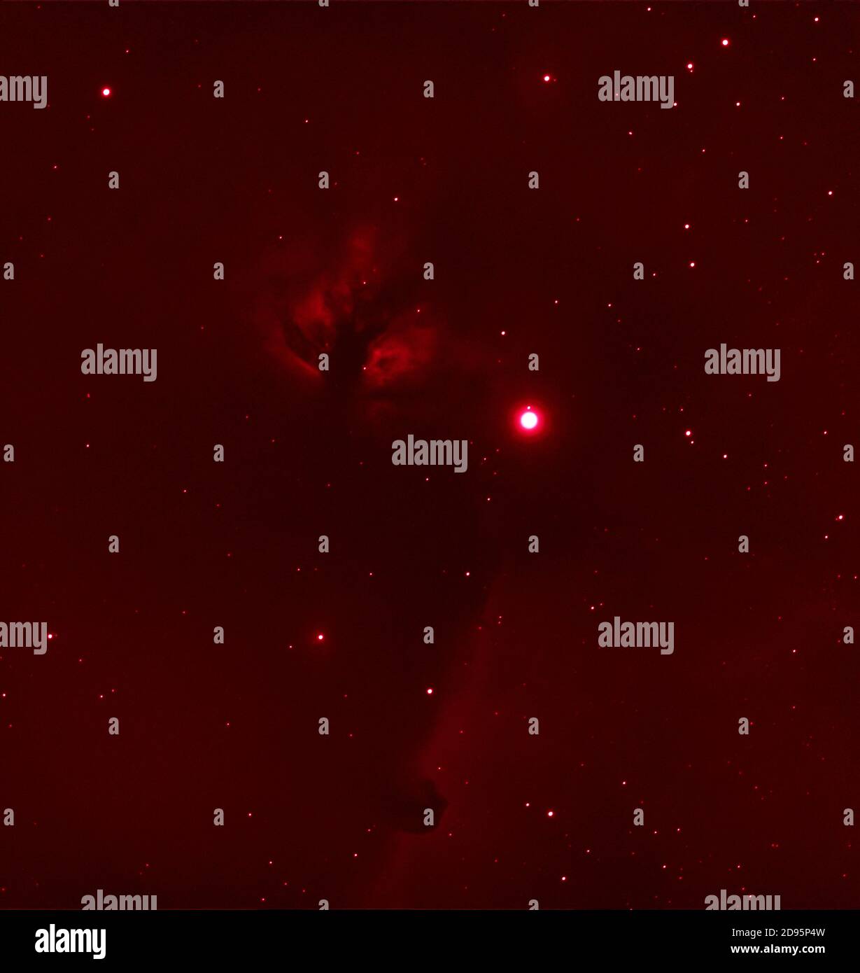 Londra, Regno Unito. 2 novembre 2020. La fiamma Nebula NGC 2024, nebulosa di emissione nella costellazione Orion e parte della Orion Molecular Cloud situata a 1350 anni luce dalla Terra. E 'illuminato dalla stella luminosa Alnitak, Zeta Orionis, la stella sinistra della cintura di Orions e si estende sotto di essa è la Horsehead Nebula, Barnard 33, una nebulosa scura. Questa fotografia di esposizione di 40 minuti catturata con un filtro alfa idrogeno sotto la luna quasi piena. Credito: Malcolm Park/Alamy Foto Stock