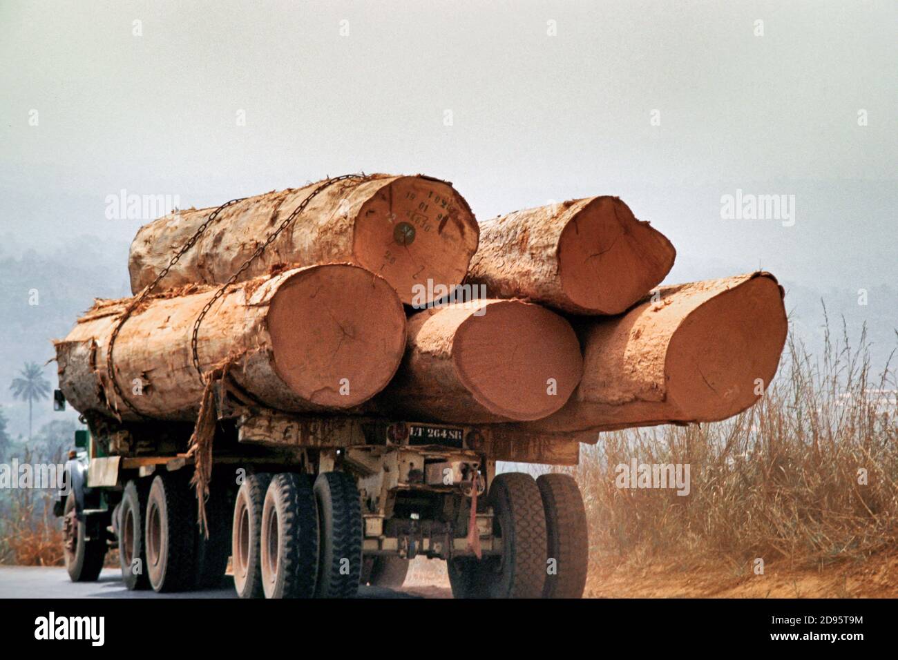 Autocarri caricati con legno tropicale sulla strada principale, Regione Occidentale, Camerun, Africa Foto Stock