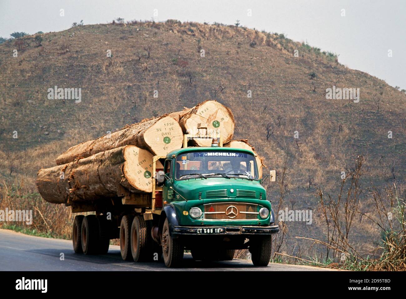 Autocarri caricati con legno tropicale sulla strada principale, Regione Occidentale, Camerun, Africa Foto Stock