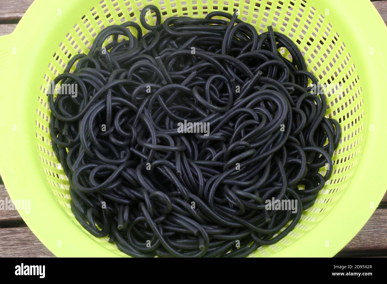 pasta italiana con seppie calamari inchiostro nero Foto Stock