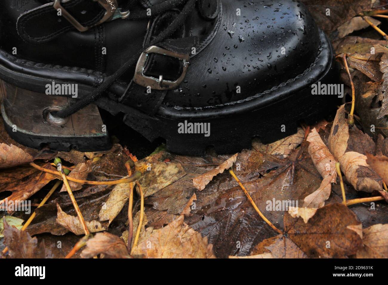 primo piano di uno stivale nero con tacco argentato su foglie cadute Foto Stock
