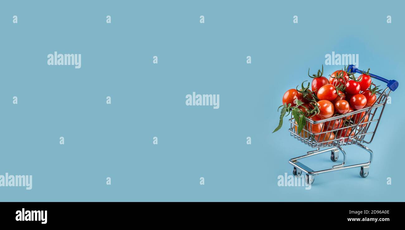 pomodori succosi nel carrello della spesa su sfondo di carta blu. Copy space.trendy stile minimal. Banner lungo e largo Foto Stock