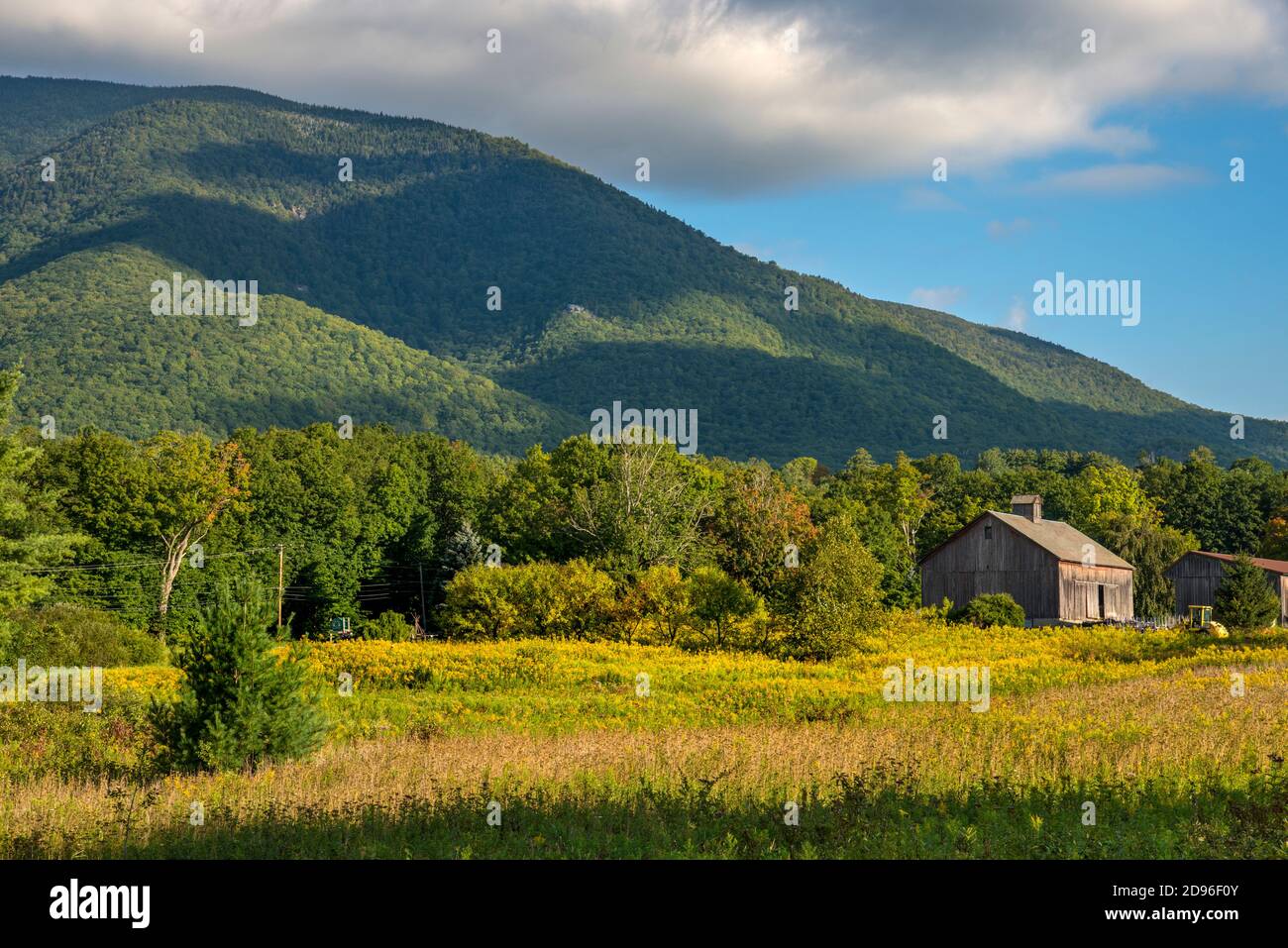 Scena mattutina di un campo con un fienile e vista del Monte Equinox sullo sfondo da Manchester, Vermont. Foto Stock