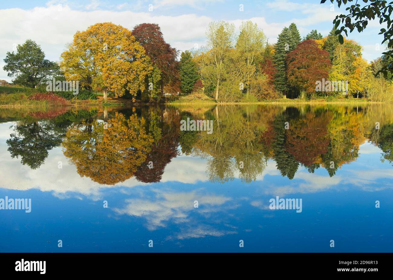 Riflessioni autunnali sul lago di Fyvie vicino al villaggio di Fyvie In Aberdeenshire Scozia Foto Stock