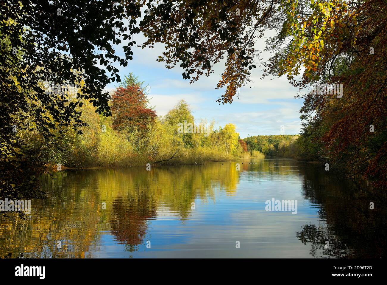 Riflessioni autunnali sul lago di Fyvie vicino al villaggio di Fyvie In Aberdeenshire Scozia Foto Stock