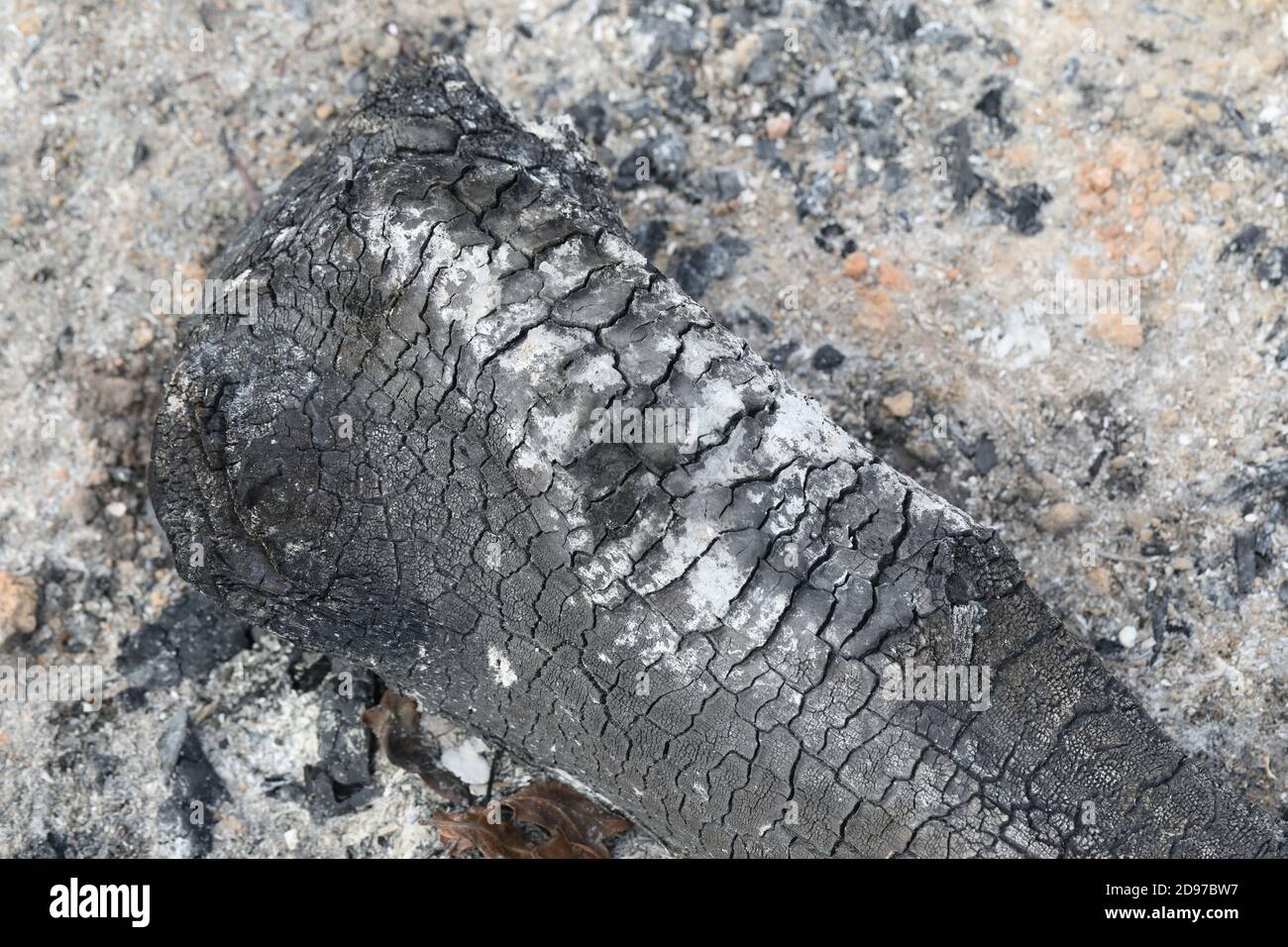 Legna bruciata da estinto, bruciata estinto. Le trame, le ripetizioni e le marcature di sollecitazione rimangono. Sfumature di grigio a nero, carbonio, cenere, ceneri risultanti. Foto Stock