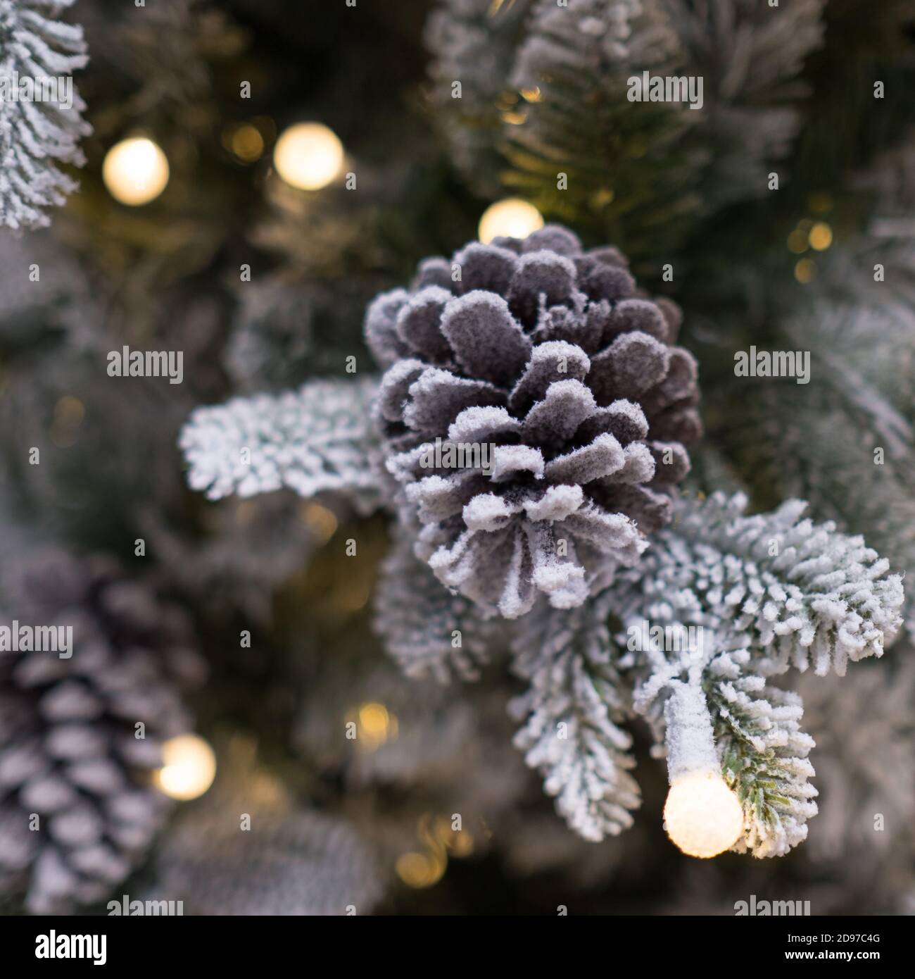Scena festiva: Cono di pino e neve con luci scintillanti Foto Stock
