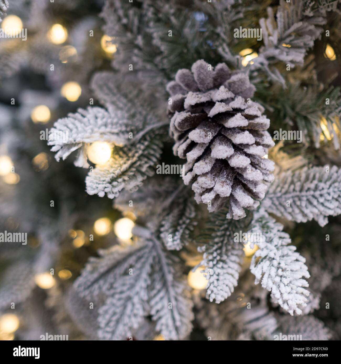 Scena festiva: Cono di pino e neve con luci scintillanti Foto Stock