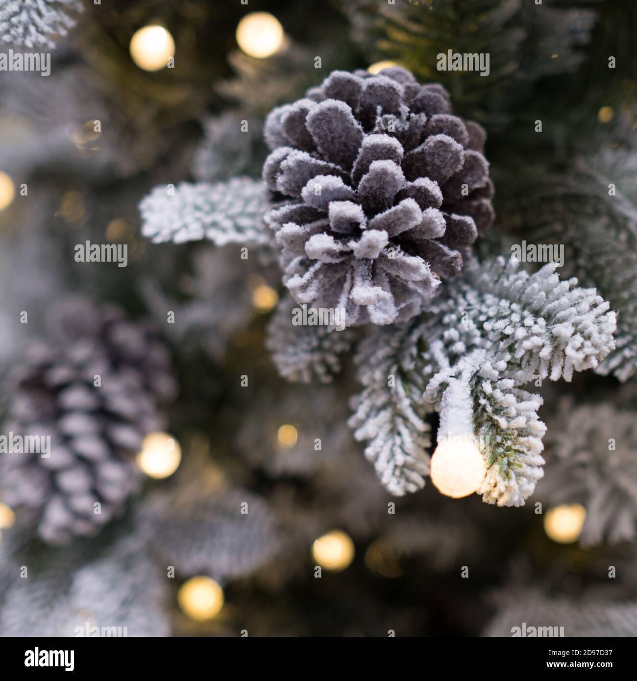 Scena festiva: Cono di pino e neve con luci scintillanti Foto Stock
