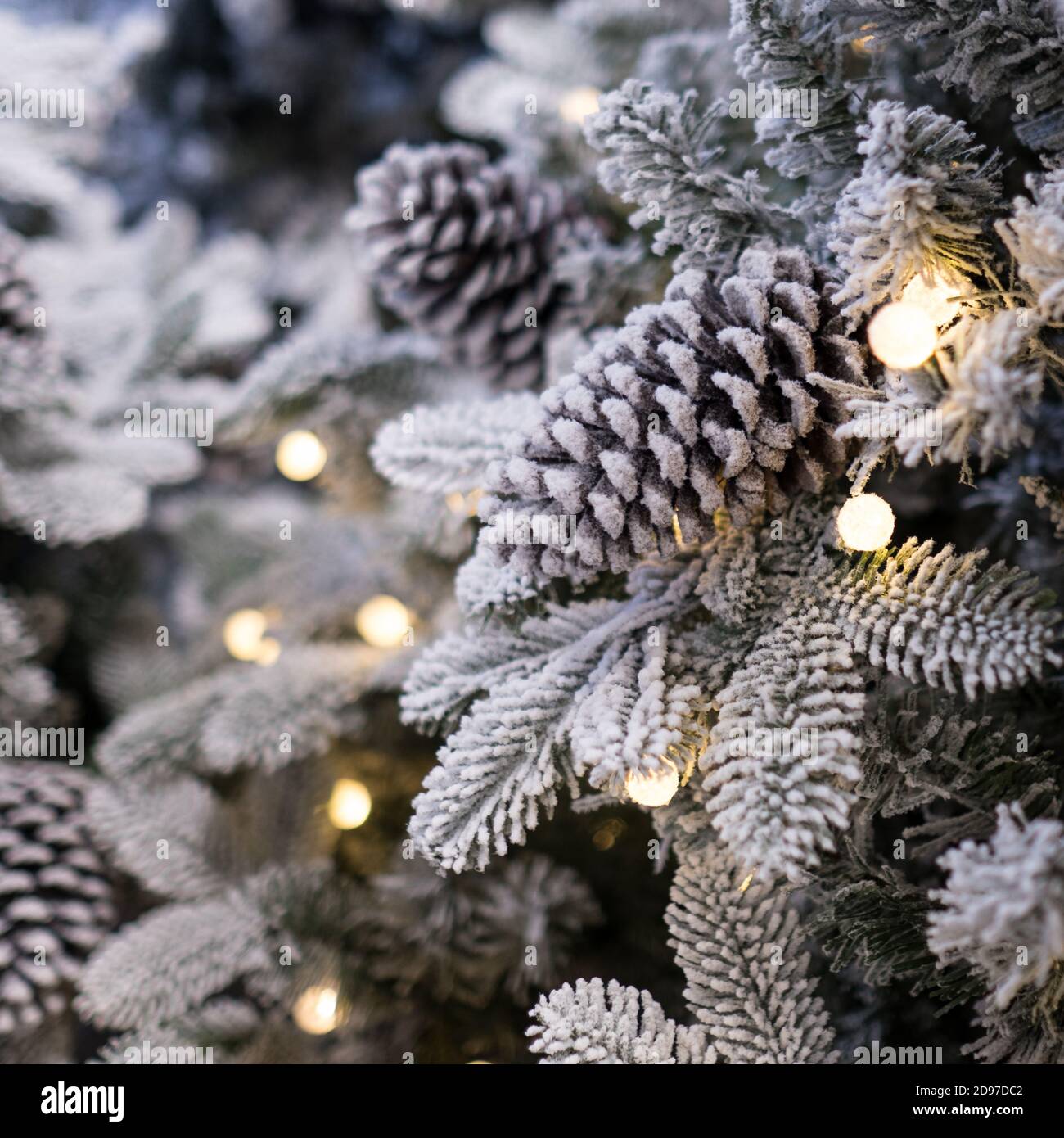 Scena festiva: Cono di pino e neve con luci scintillanti Foto Stock