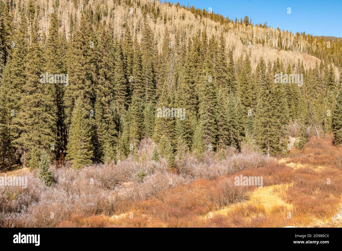 Natura selvaggia del Colorado, paesaggio autunnale Foto Stock