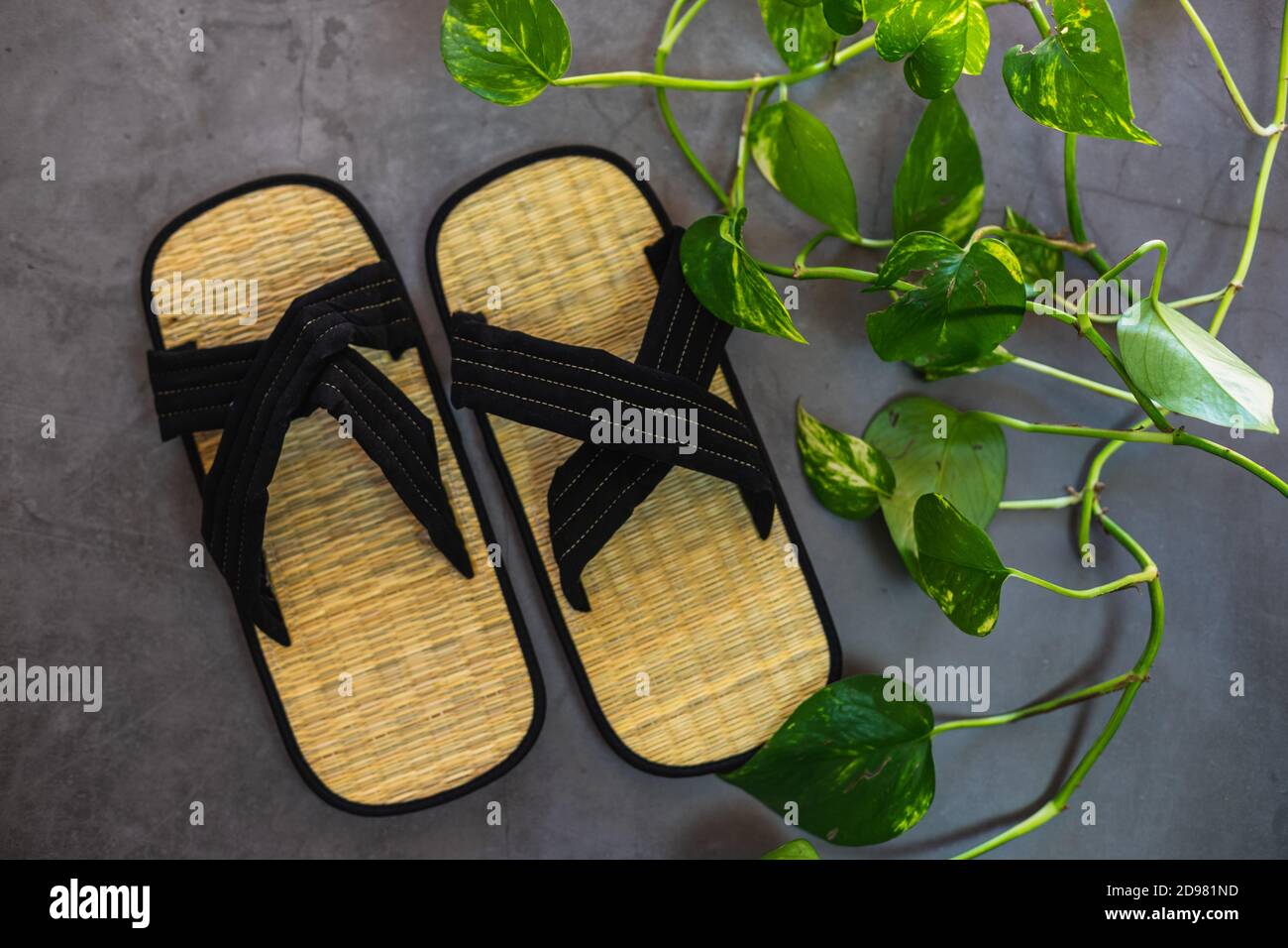 Coppia di scarpe tradizionali zori di bambù giapponesi. Vista dall'alto dei  sandali con vegetazione decorativa Foto stock - Alamy