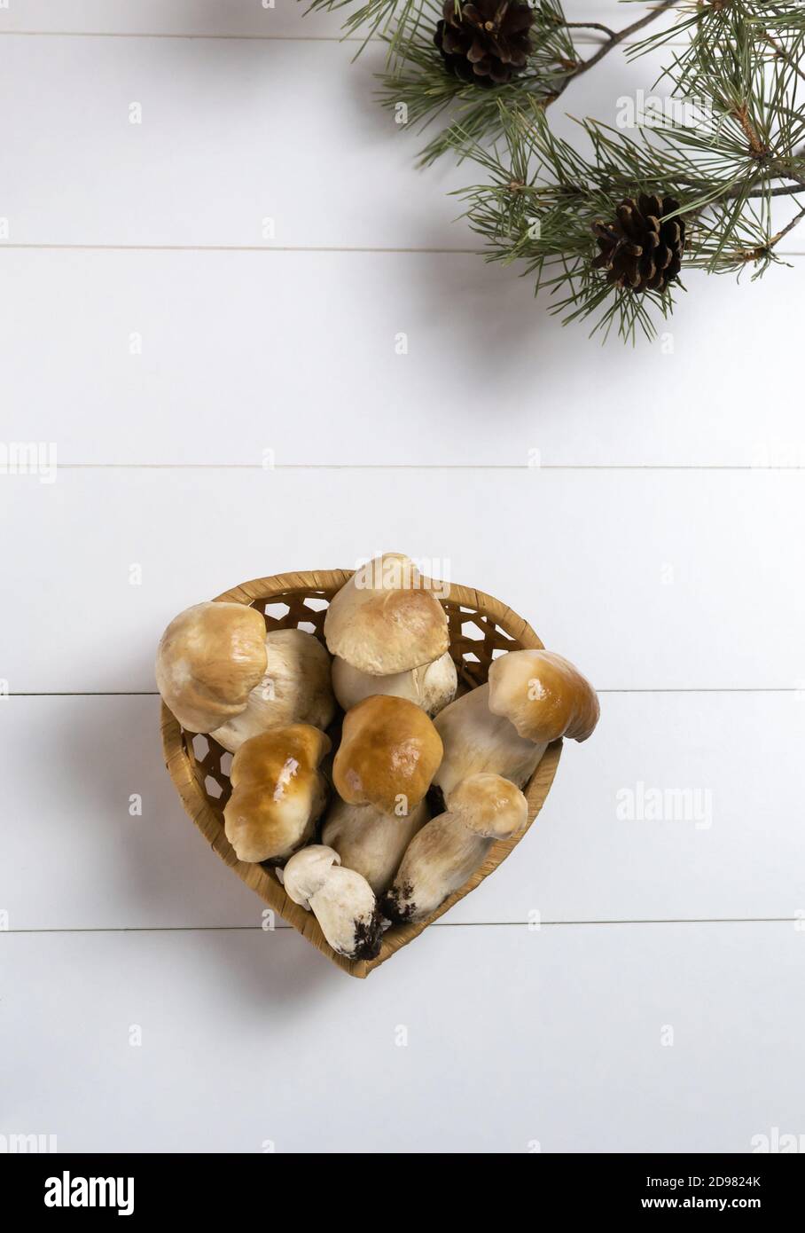 Funghi porcini in un cesto di vimini con un ramo di abete rosso e coni su uno sfondo chiaro. Regali autunnali. Orientamento verticale. Vista dall'alto. Spazio di copia. Foto Stock